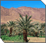 Elul: An Oasis of Refuge