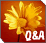Medical Ethics - Questions And Answers