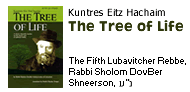 Kuntres Eitz Hachaim - The Tree of Life