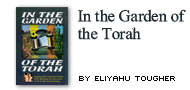 In the Garden of the Torah