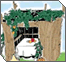 The Festival of Sukkot